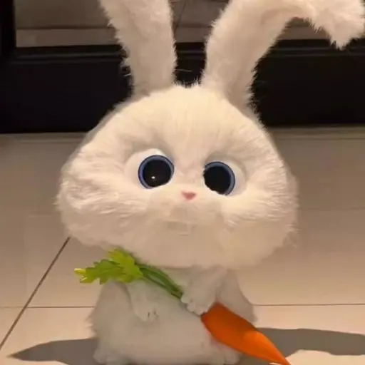 sjm의 스노우볼 토끼 🐰💕
