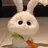 스노우볼 토끼 🐰💕