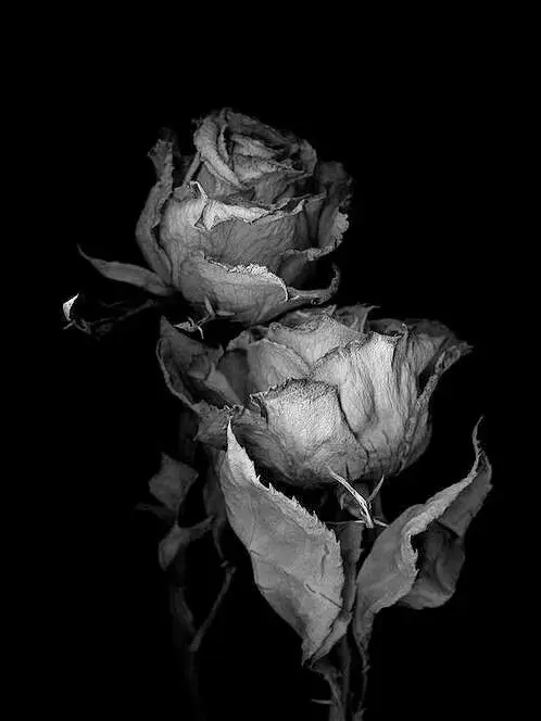 Uuzu9z의 [GL] 이 하 진