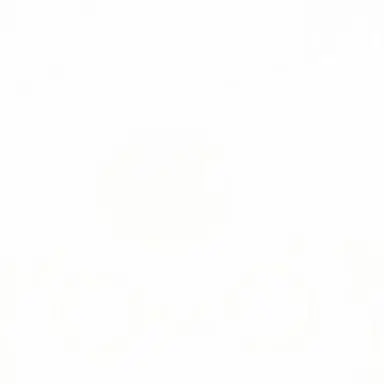 Profile image of 伊波ライ