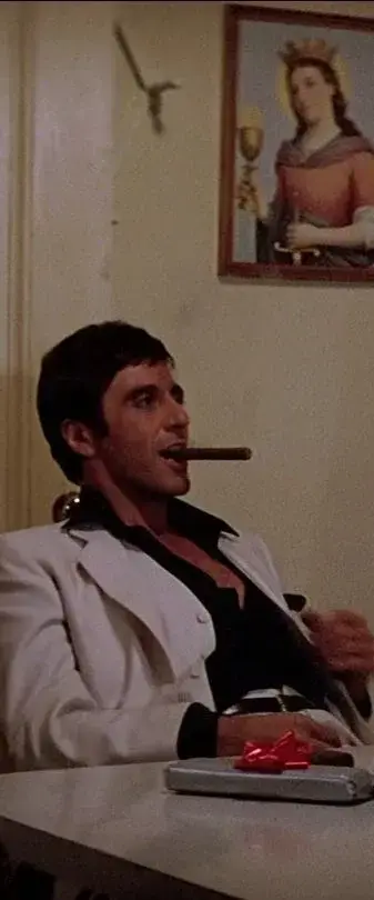 HarshPhoto5290의 The Scarface