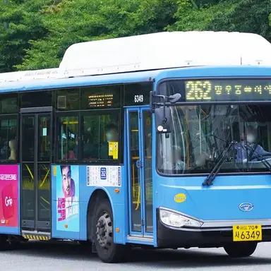 Profile image of 262번