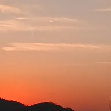 Profile image of 팀나빠