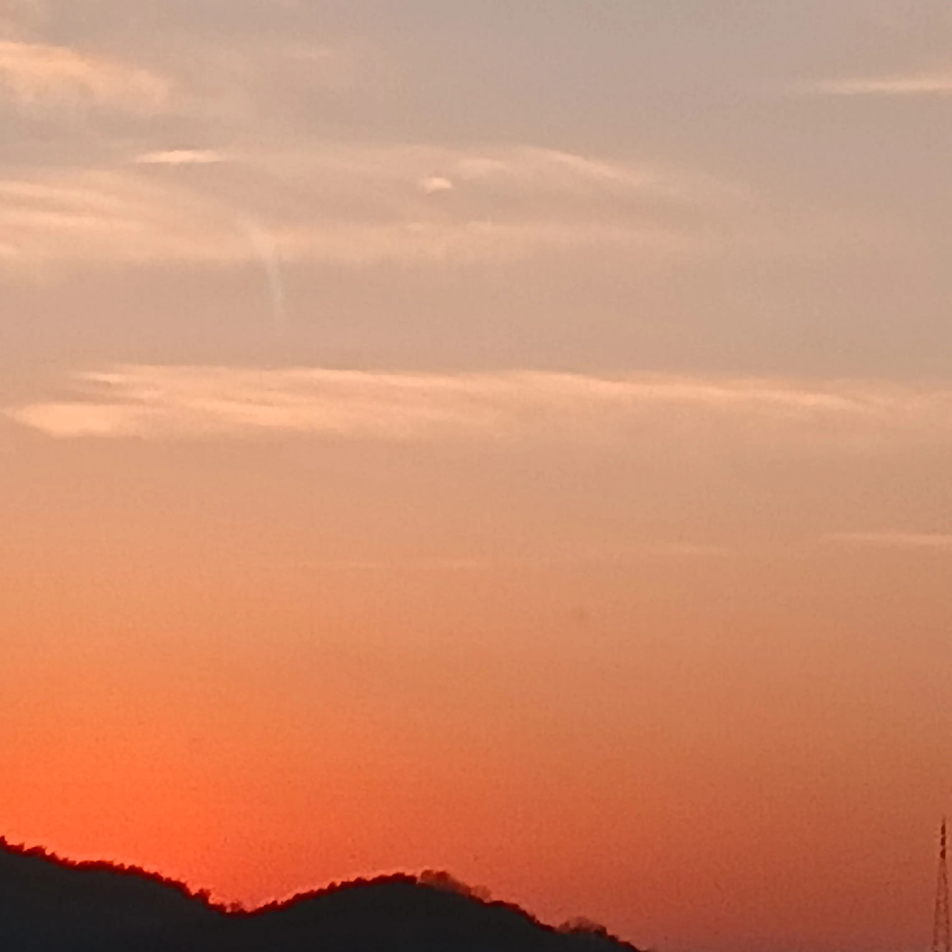 QuirkyTower3518의 아니 싫다고!