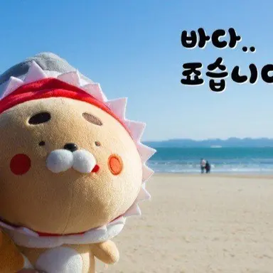 Profile image of 옛날에산낙지님이였나