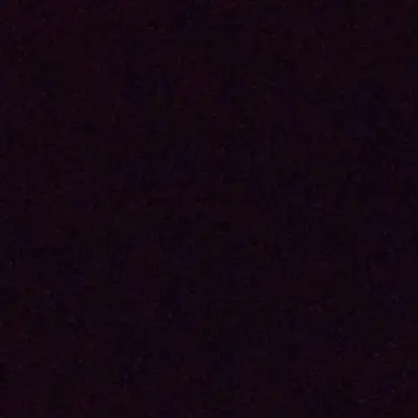 Profile image of レオナ