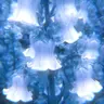 Profile image of 파이브