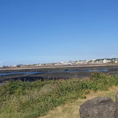 Profile image of 프레드 위들리