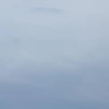 Profile image of 찰리 위즐리