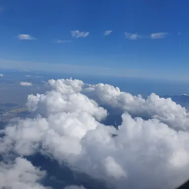 Profile image of 론 위즐리