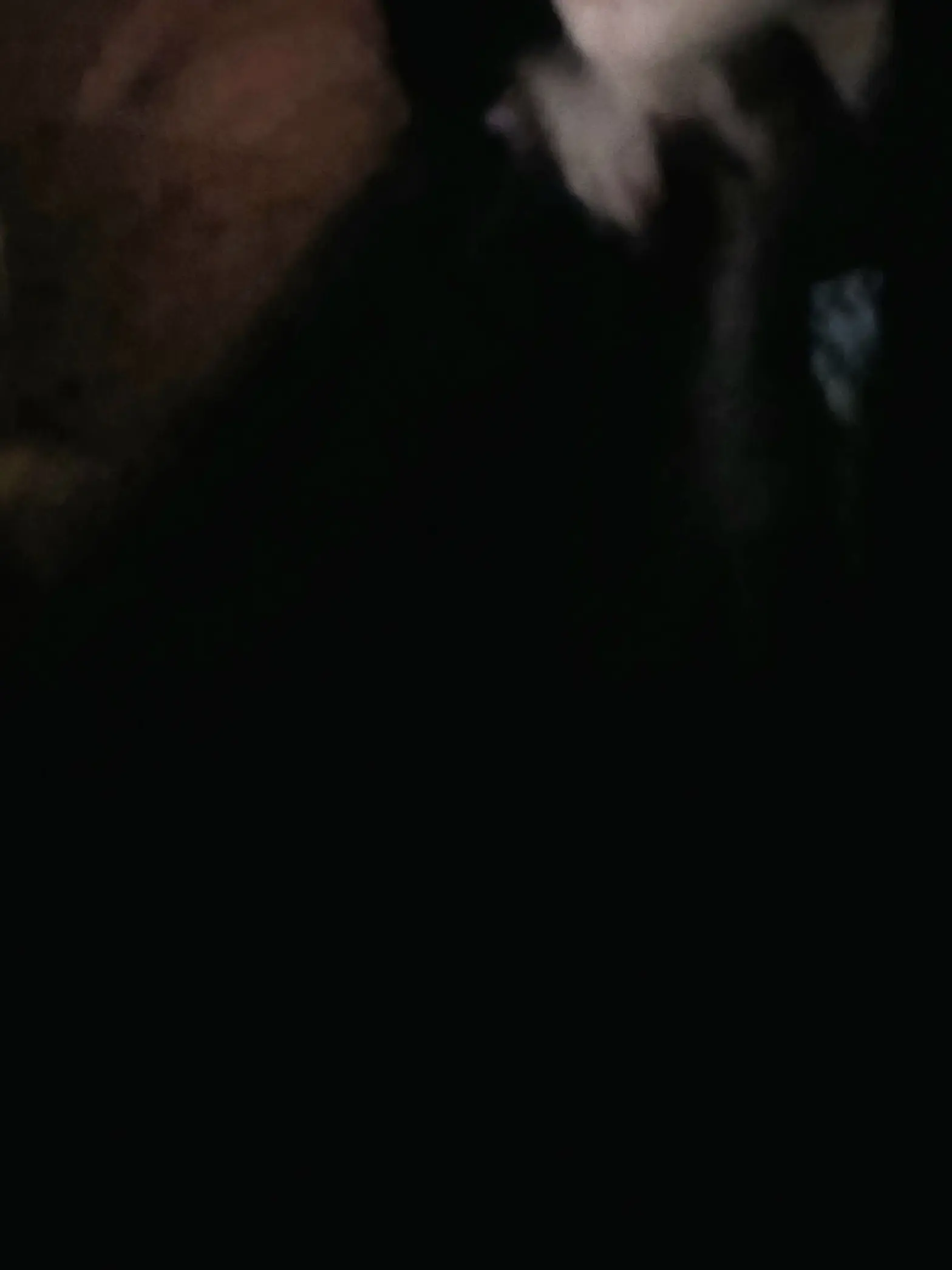 Kaiya358의 OUTLASTパロです。