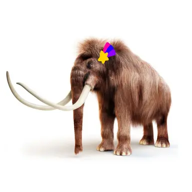 Profile image of 멜로우