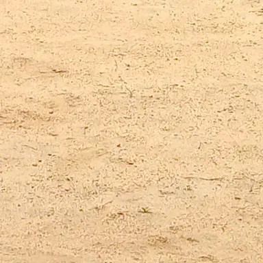 Profile image of 필립