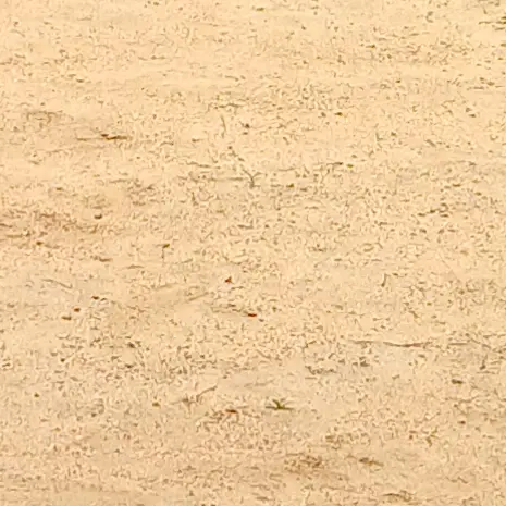 A9S9D6의 필립=<user>