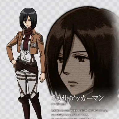 Profile image of 미카사