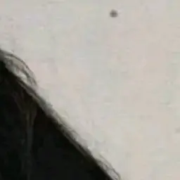 djsodjdb의 야마자키 가족