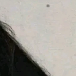 야마자키 가족