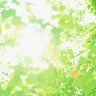 Profile image of 森本慎太郎