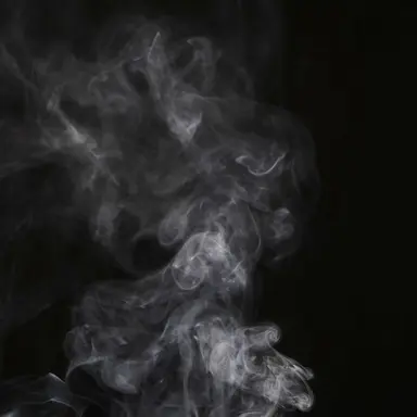 Profile image of H