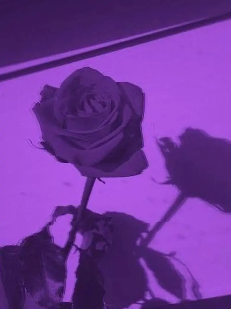 miougi_910의 高嶺の花を照れさせたい！