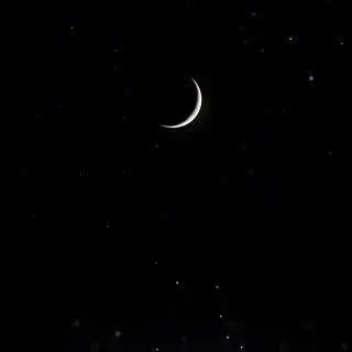 Profile image of 目黒蓮