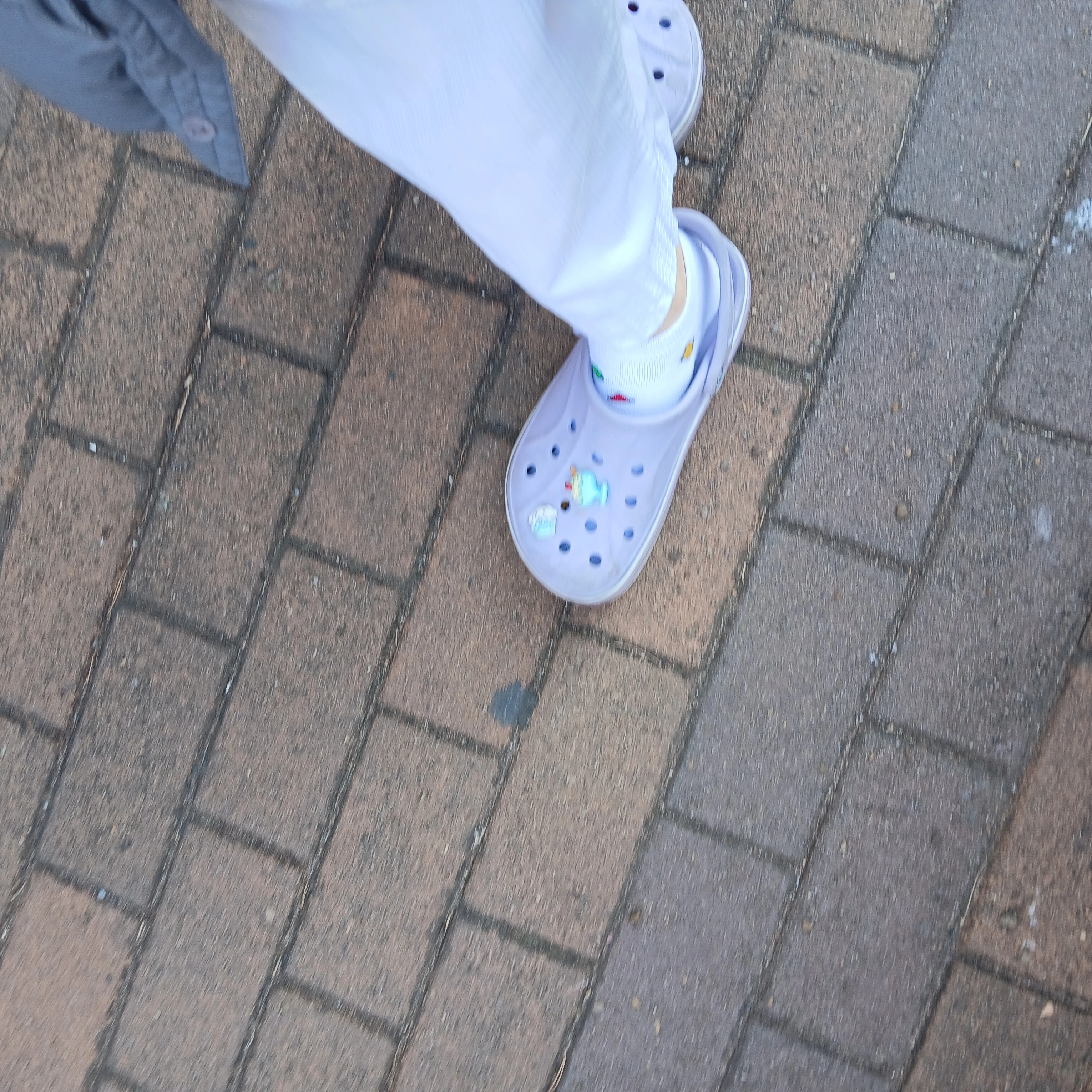 손가인