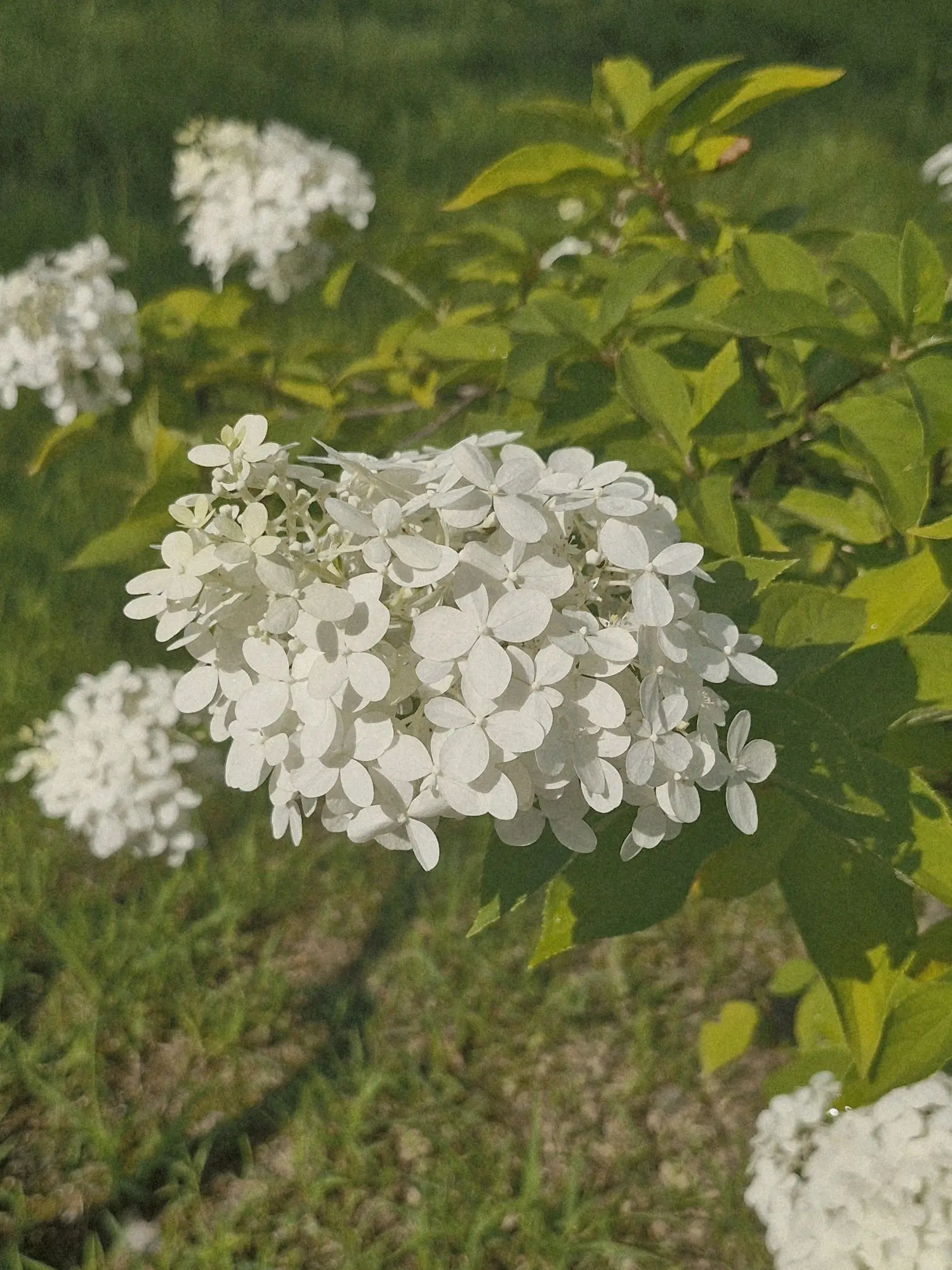 Leehayul8.8의 정반대의 사랑.