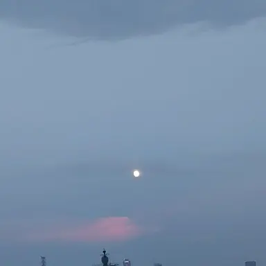 Profile image of 아우딘