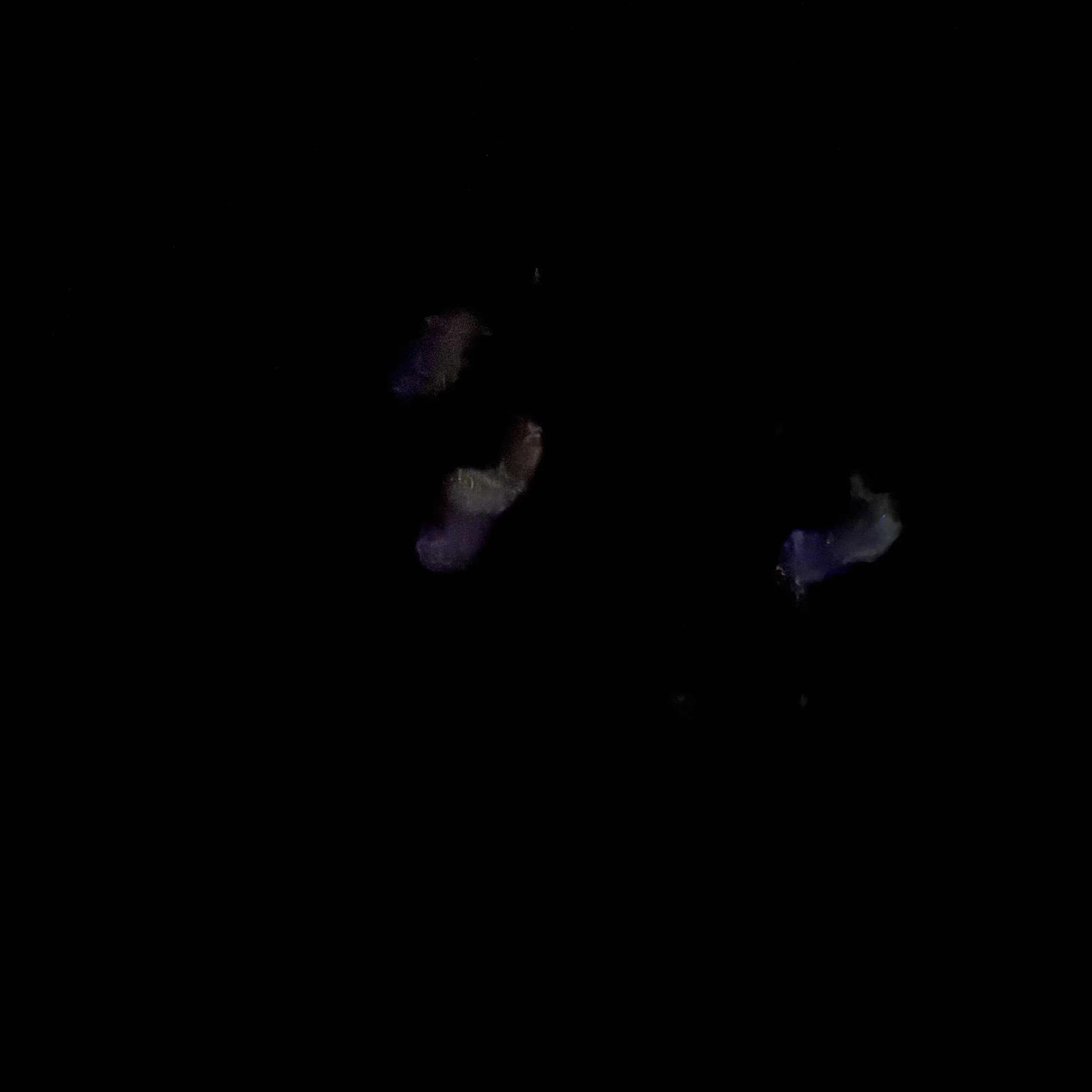 FoulBelt1987의 堕ちる
