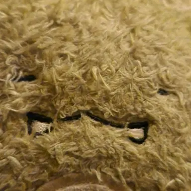 Profile image of 공룡