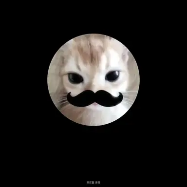 Profile image of Meueng