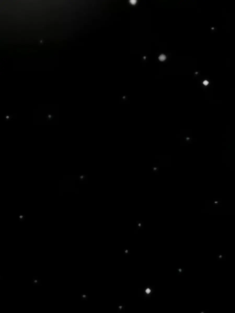 whale_n의 명재현