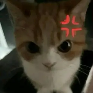 Profile image of ここあ