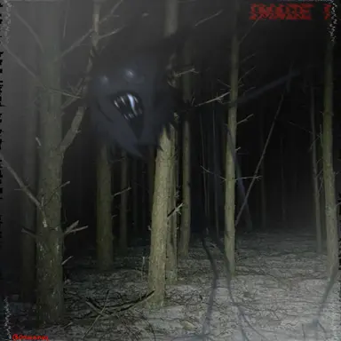 Profile image of ウォレス