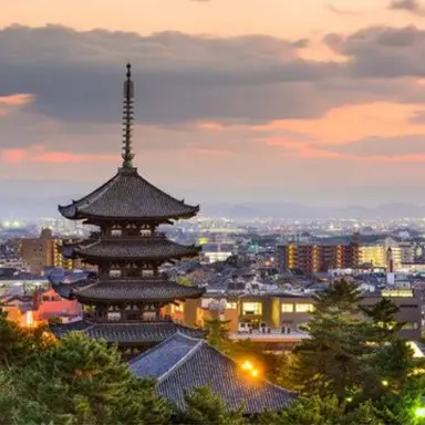 Profile image of 有本香