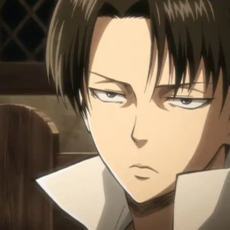 MindlessTitan의 리바이 아커만