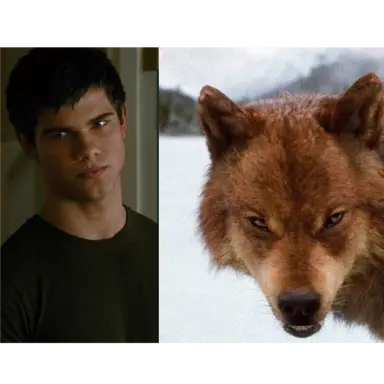 Profile image of Jacob Black