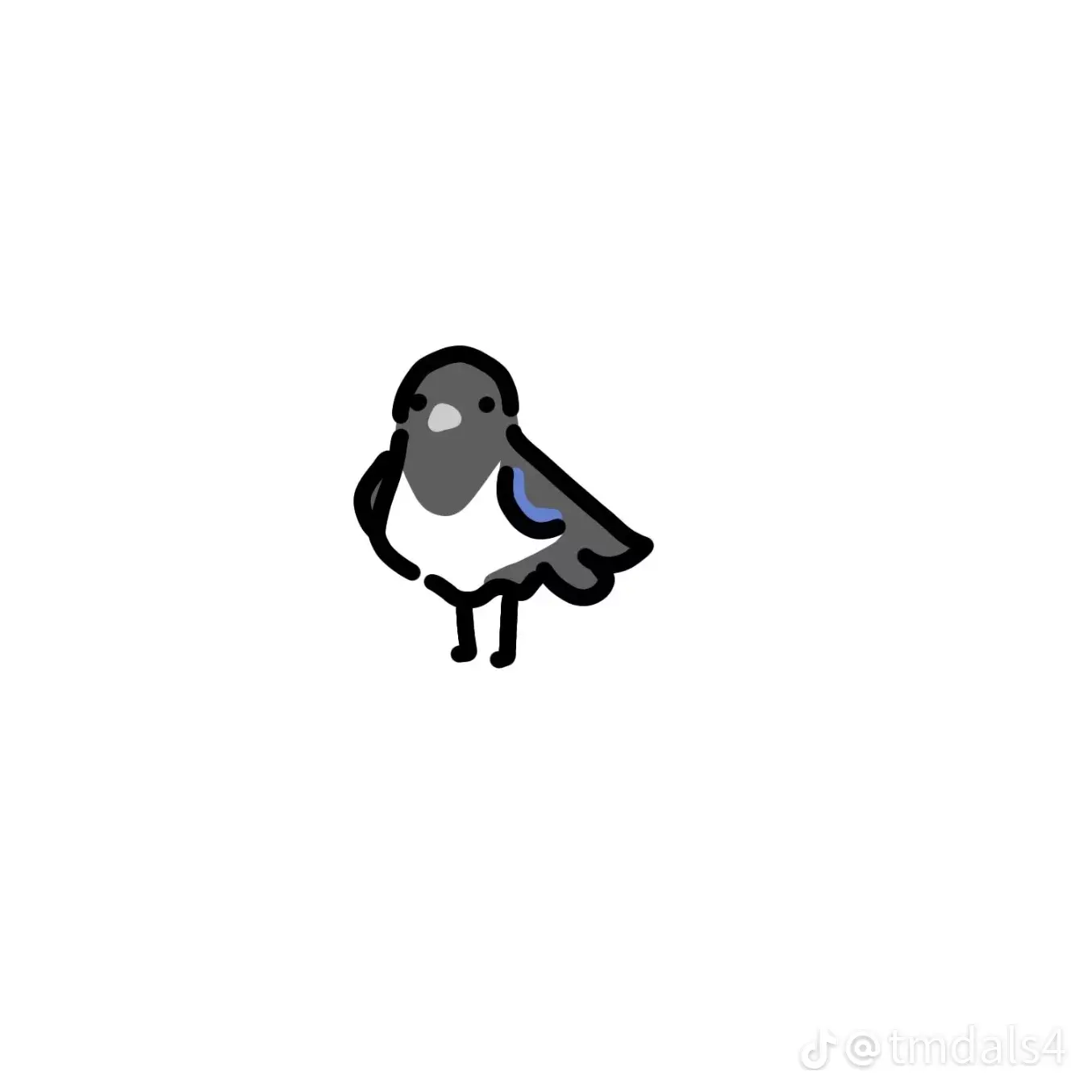 까치 대표 이미지