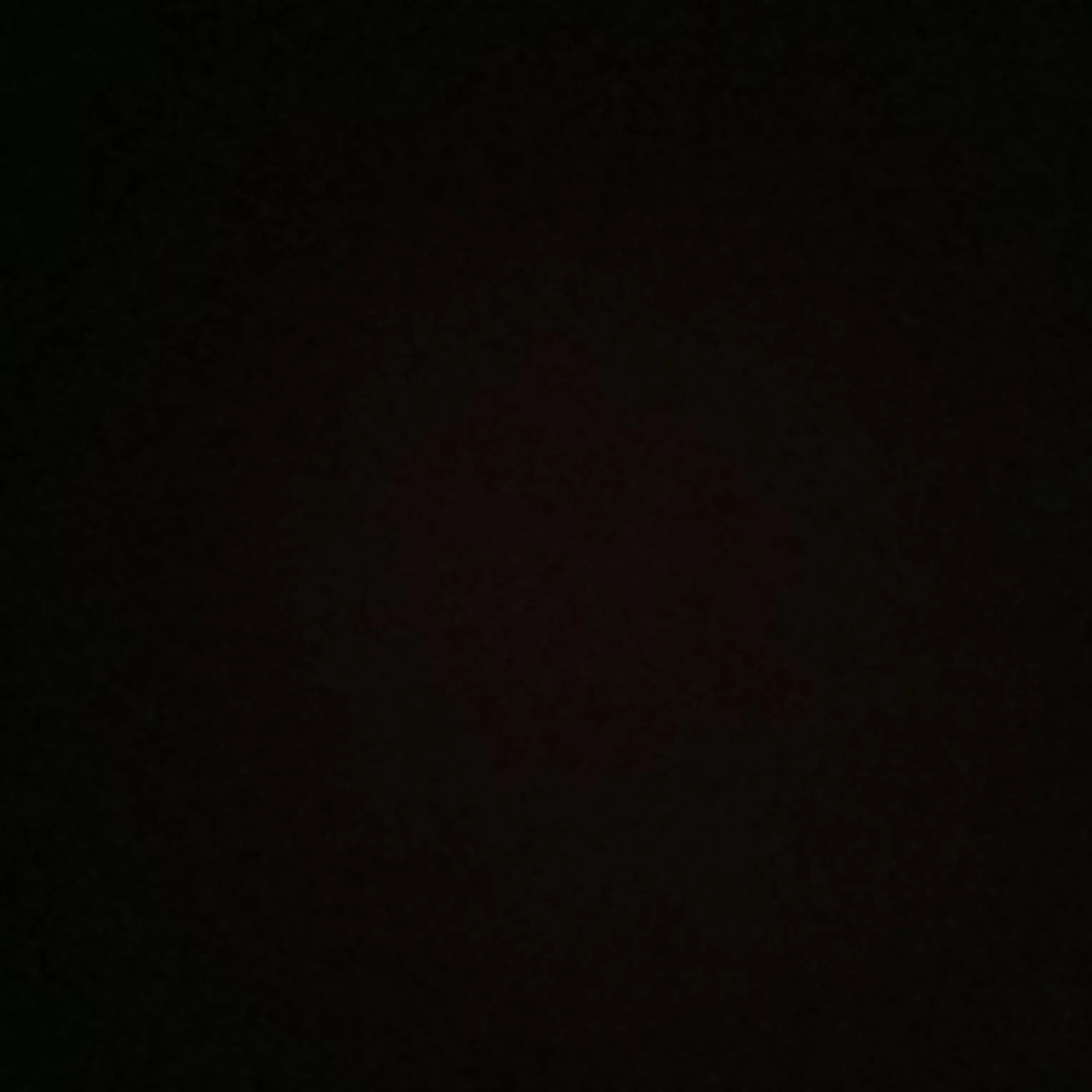 WornGlobe1895의 양정인