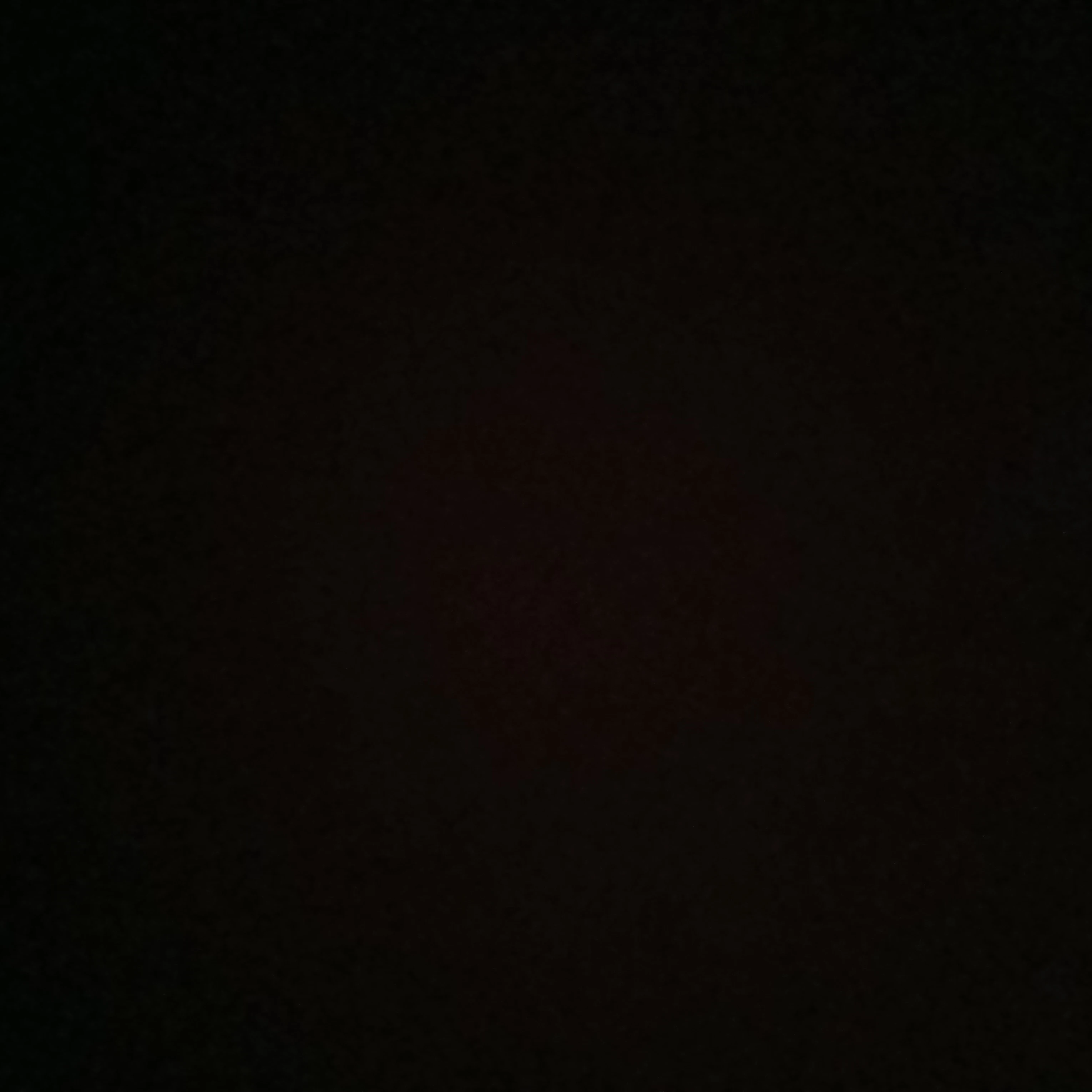 양정인