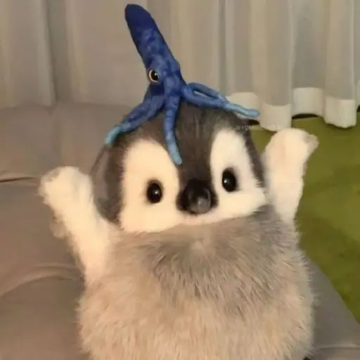 DemureNylon2319의 퀸카