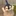 퀸카