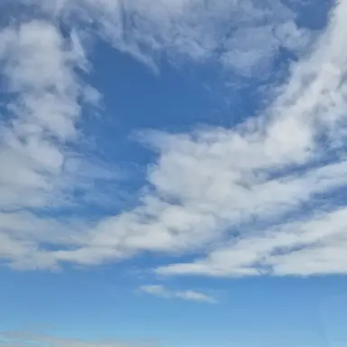 Profile image of 홍루