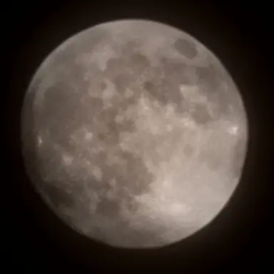 Profile image of 정우성