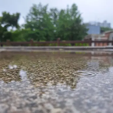Profile image of 게이