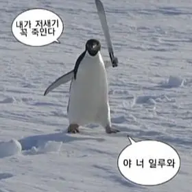 Profile image of 서위리