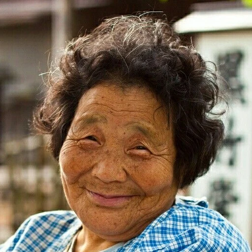 채수정