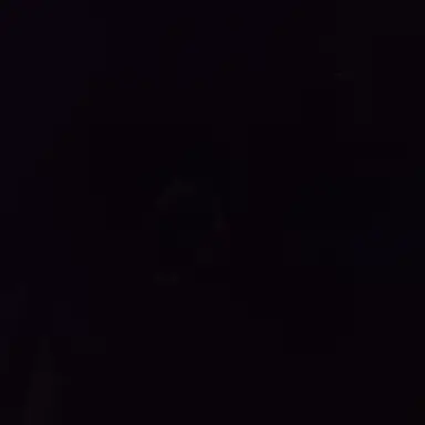 Profile image of 김주은