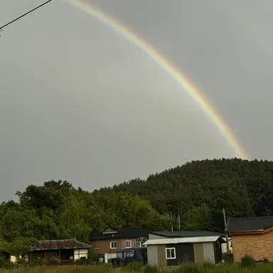 Profile image of 케데헌 여우