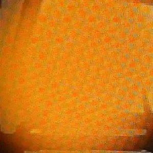 Profile image of 스키비디토일렛진영